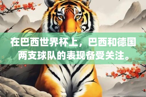 在巴西世界杯上，巴西和德国两支球队的表现备受关注。