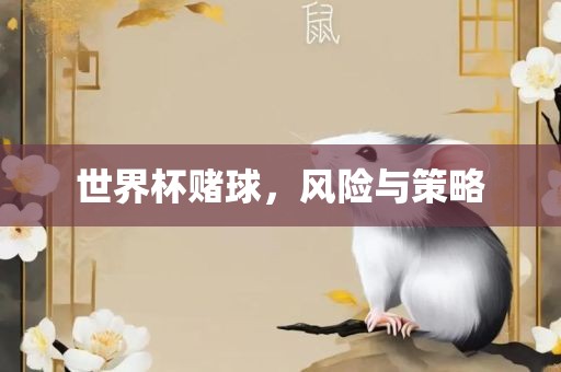 世界杯赌球，风险与策略