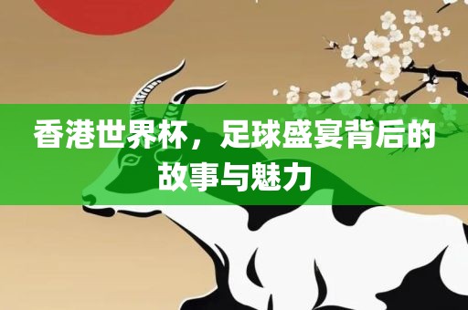 香港世界杯，足球盛宴背后的故事与魅力