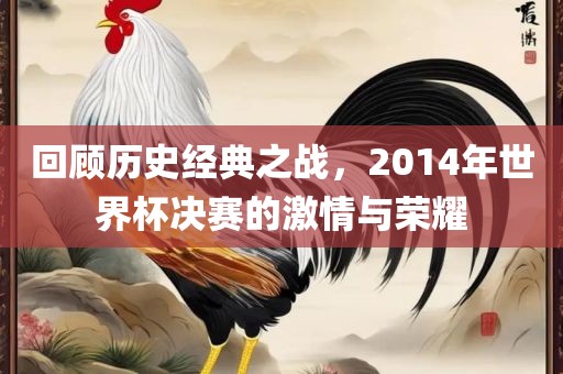 回顾历史经典之战，2014年世界杯决赛的激情与荣耀漯河市盈旭机械设备有限公司