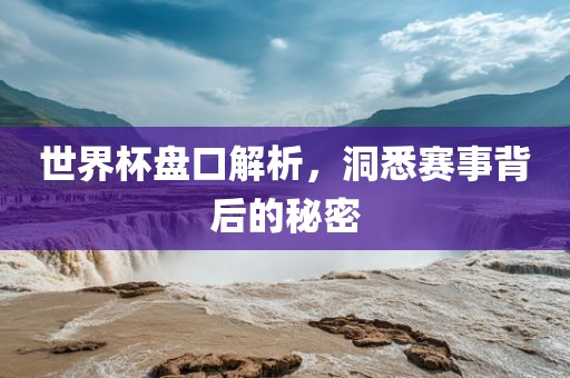 世界杯盘口解析，洞悉赛事背后的秘密