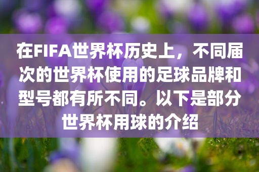 在FIFA世界杯历史上，不同届次的世界杯使用的足球品牌和型号都有所不同。以下是部分世界杯用球的介绍