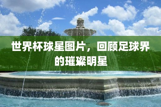 世界杯球星图片，回顾足球界的璀璨明星
