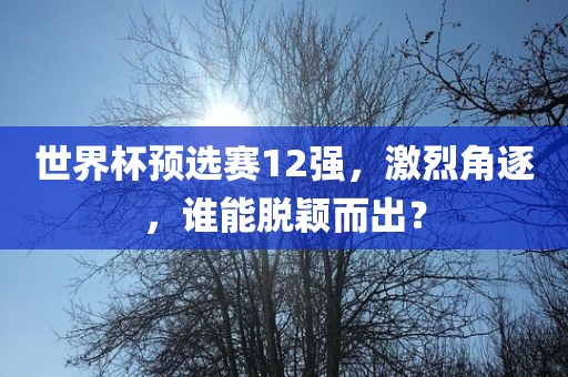 世界杯预选赛12强，激烈角逐，谁能脱颖而出？
