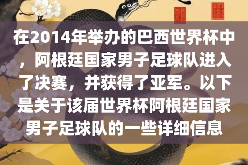 在2014年举办的巴西世界杯中，阿根廷国家男子足球队进入了决赛，并获得了亚军。以下是关于该届世界杯阿根廷国家男子足球队的一些详细信息