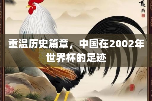 重温历史篇章，中国在2002年世界杯的足迹