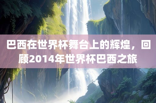 巴西在世界杯舞台上的辉煌，回顾2014年世界杯巴西之旅漯河市盈旭机械设备有限公司