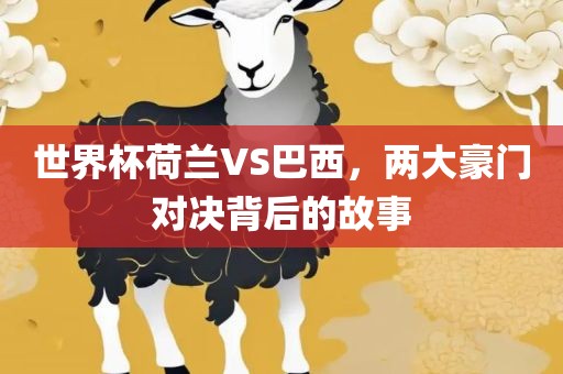 世界杯荷兰VS巴西，两大豪门对决背后的故事