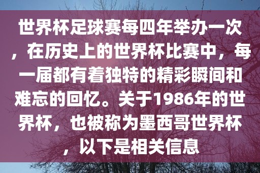 世界杯足球赛每四年举办一次，在历史上的世界杯比赛中，每一届都有着独特的精彩瞬间和难忘的回忆。关于1986年的世界杯，也被称为墨西哥世界杯，以下是相关信息