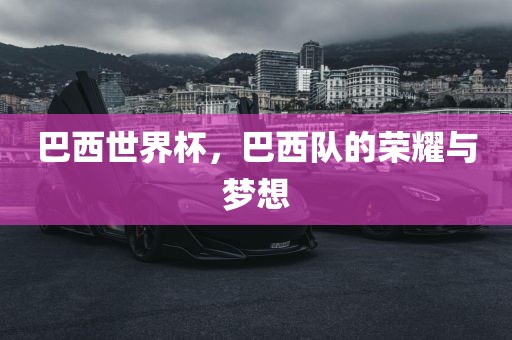 巴西世界杯，巴西队的荣耀与梦想漯河市盈旭机械设备有限公司