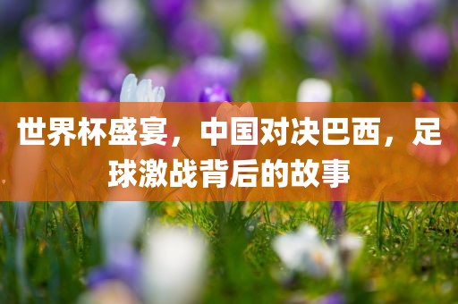 世界杯盛宴，中国对决巴西，足球激战背后的故事