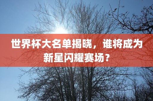 世界杯大名单揭晓，谁将成为新星闪耀赛场？漯河市盈旭机械设备有限公司