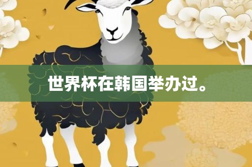 世界杯在韩国举办过。