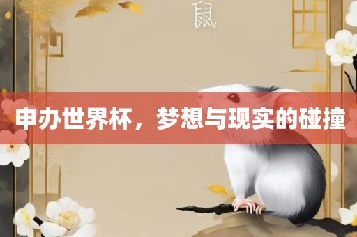 申办世界杯，梦想与现实的碰撞