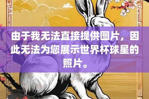 由于我无法直接提供图片，因此无法为您展示世界杯球星的照片。