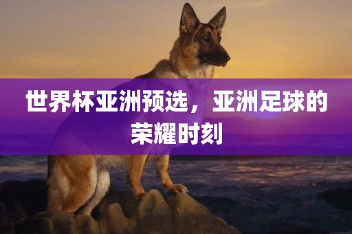 世界杯亚洲预选，亚洲足球的荣耀时刻