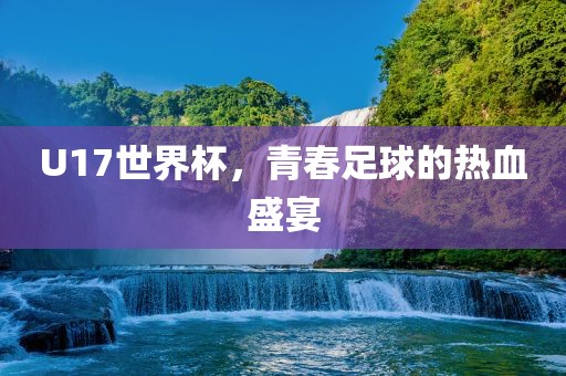 U17世界杯，青春足球的热血盛宴