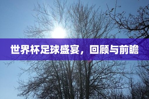 世界杯足球盛宴，回顾与前瞻