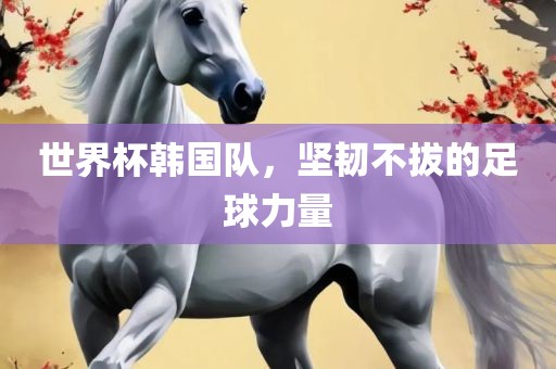 世界杯韩国队，坚韧不拔的足球力量