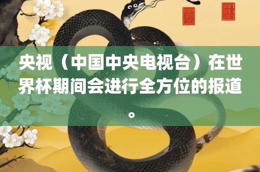 央视（中国中央电视台）在世界杯期间会进行全方位的报道。