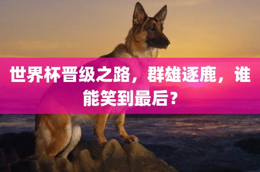 世界杯晋级之路，群雄逐鹿，谁能笑到最后？