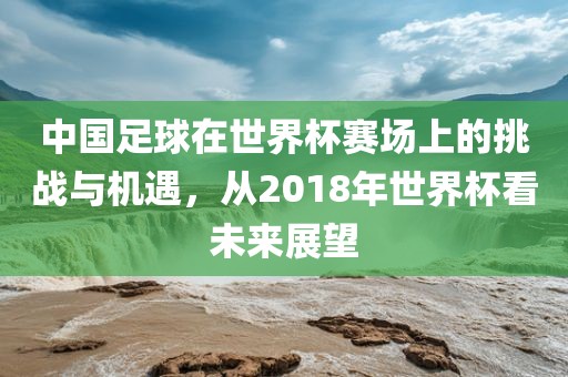 中国足球在世界杯赛场上的挑战与机遇，从2018年世界杯看未来展望