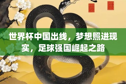 世界杯中国出线，梦想照进现实，足球强国崛起之路