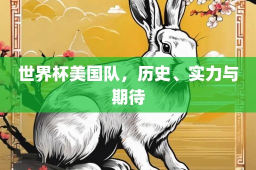 世界杯美国队，历史、实力与期待