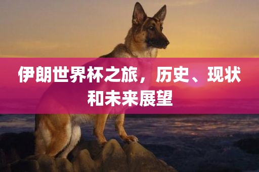 伊朗世界杯之旅，历史、现状和未来展望