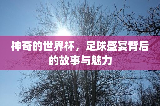 神奇的世界杯，足球盛宴背后的故事与魅力