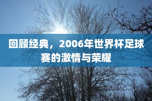 回顾经典漯河市盈旭机械设备有限公司，2006年世界杯足球赛的激情与荣耀