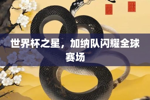 世界杯之星，加纳队闪耀全球赛场
