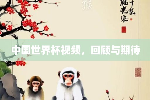 中国世界杯视频，回顾与期待