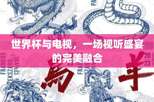 世界杯与电视，一场视听盛宴的完美融合