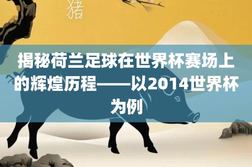 揭秘荷兰足球在世界杯赛场上的漯河市盈旭机械设备有限公司辉煌历程——以2014世界杯为例