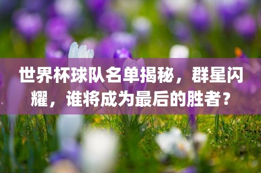 世界杯球队名单揭秘，群星闪耀，谁将成为最后的胜者？
