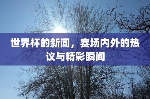 世界杯的新闻，赛场内外的热议与精彩瞬间