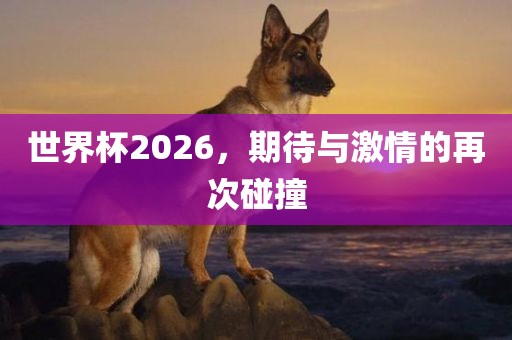 世界杯2026，期待与激情的再次碰撞