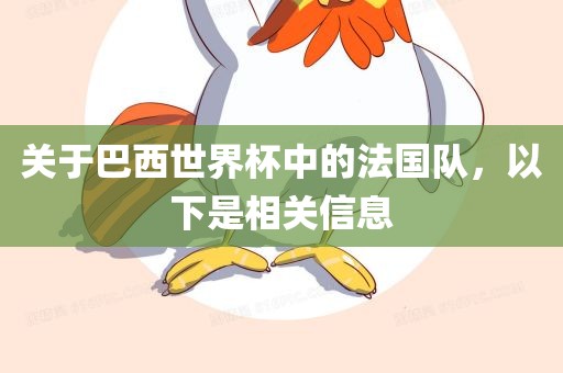 关于巴西世界杯中的法国队，以下是相关信息