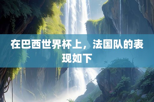 在巴西世界杯上，法国队的表现如下
