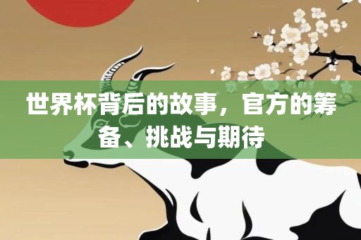 世界杯背后的故事，官方的筹备、挑战与期待