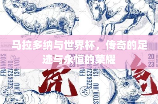 马拉多纳与世界杯，传奇的足迹与永恒的荣耀