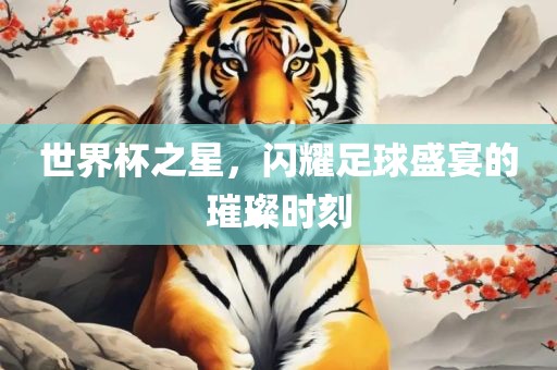 世界杯之星，闪耀足球盛宴的璀璨时刻