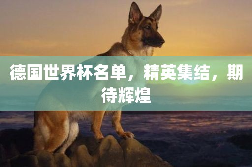 德国世界杯名单，精英集结，期待辉煌