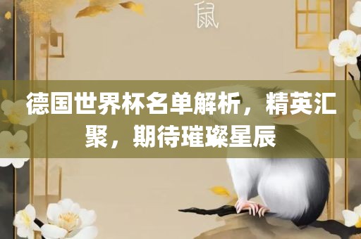 德国世界杯名单解析，精英汇聚，期待璀璨星辰