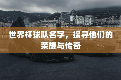 世界杯球队名字，探寻他们的荣耀与传奇