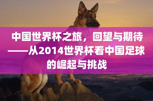 中国世界杯之旅，回望与期待——从2014世界杯看中国足球的崛起与挑战