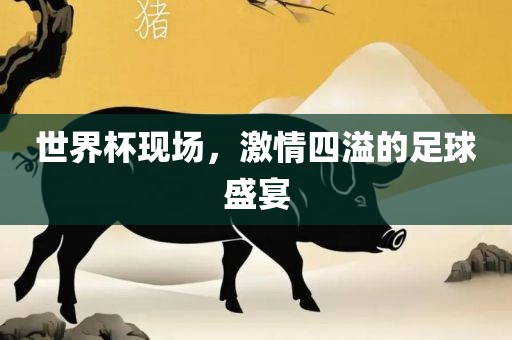 世界杯现场，激情四溢的足球盛宴