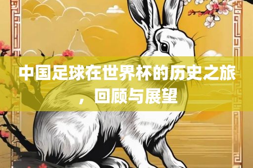 中国足球在世界杯的历史之旅，回顾与展望
