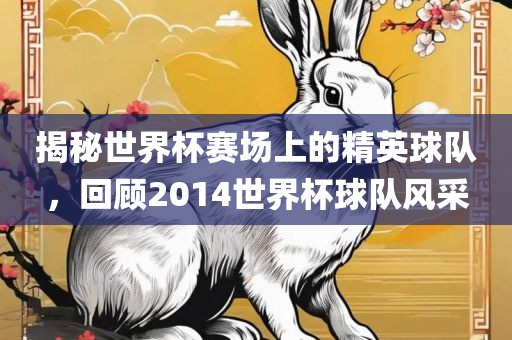 揭秘世界杯赛场上的精英球队，回顾2014世界杯球队风采